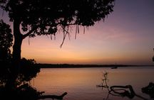 Mida Creek Boat Ride and Snorkeling at Watamu Marine Park