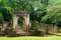 Arabuko Sokoke Forest and Gedi Ruins Day Tour from Mombasa North Coast