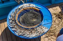 Fishing experience in Capri from Sorrento with lunch