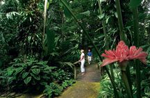 Cairns aquarium and small group city sightseeing tour