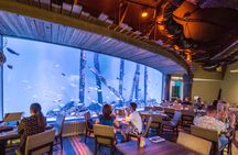 Cairns aquarium and small group city sightseeing tour
