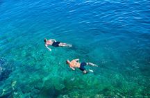 Ischia and Procida boat tour from Sorrento
