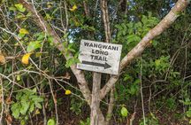 Zanzibar hiking in Jozani Forest private tour