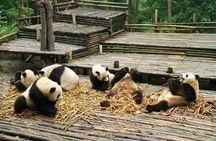 All-inclusive Panda trip and customizable sites