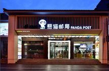 Full day private tour Everything is Panda experience!