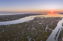 Ria Formosa speed boat tour from Faro