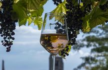 Private Etyek wine tour and dinner with Danube River evening cruise