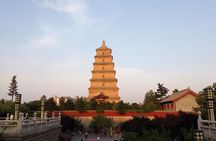 Full day private tour - Discover the prosperous Tang dynasty