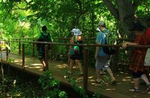 4x4 off-road island discovery full-day tour