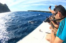 Fernando de Noronha cruise