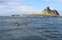 Underwater boat tour with lunch