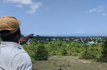 Zanzibar hiking in Masingini Forest private tour