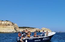 Benagil Caves and Marinha  boat tour from Portimão