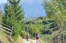 Piatra Craiului National Park private hiking tour from Brasov