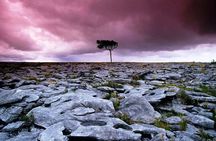 Cliffs of Moher and the Burren tour from Galway City
