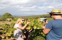 Montserrat and Penedès private tour from Barcelona