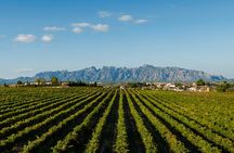 Montserrat and Penedès private tour from Barcelona