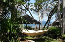 Kisite Marine Park snorkelling tour with Pilli Pipa dhow