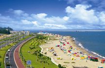 Xiamen private full-day tour with highlights sightseeing