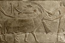 Full-day Memphis, Saqqara and Dahshour