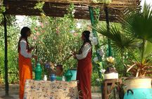 Half-day The Pharaonic village tour