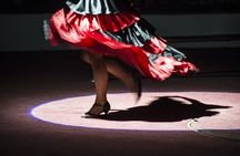 Tapas and flamenco evening in Barcelona