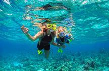 Palm Pleasure catamaran afternoon snorkeling tour