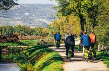 Amarone wine E-bike tour