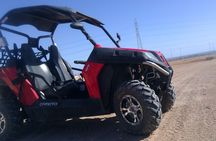 Morning Sand Buggy Experience Plus Bedouin Tea Tasting in Sharm Desert
