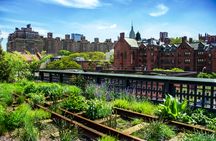 New York City High-Line and Hudson Yards walking tour