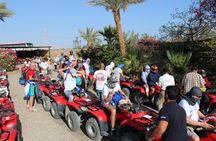 Morning quad bike from Sharm El Sheikh- single use