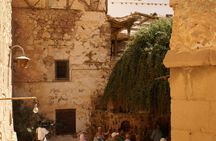Tour of St. Catherine's Monastery and Dahab with lunch - from Sharm El Sheikh