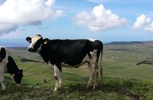Terceira Island jeep tour