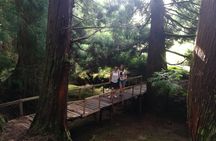 Terceira Island walking trails tour