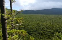Terceira Island walking trails tour