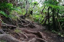 Terceira Island walking trails tour