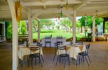Olives harvest, wine tasting and brunch at Bio Fattoria Augustali