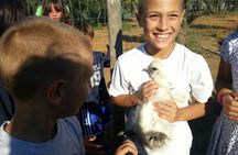 Animal farm tour and Aaromas garden at Bio Fattoria Augustali
