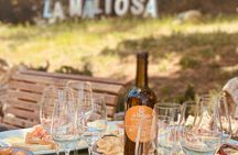 Organic wine tasting, vineyard walk and winery tour at Fattoria La Maliosa