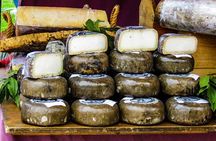 Malaga Food Tour with Tapas & Drinks with a Local
