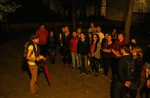 A 1.5-hour private evening tour of Bruges
