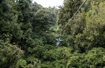 The original canopy experience
