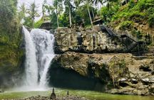 Ubud full-day hidden waterfall tour