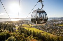 Skyline Rotorua and Velocity Valley double adventure experience