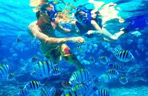 Bali full-day Blue Lagoon snorkeling trip