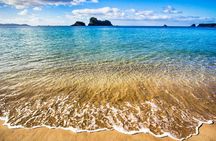 Coromandel Coastal experience