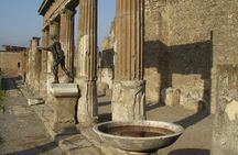 Pompeii 2-hour private tour
