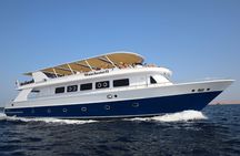 Classic family Red sea cruise experience from Hurghada
