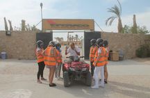 Quad bike morning tour with camel ride and tea in Hurghada