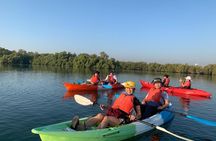 Abu Dhabi mangrove kayaking tour